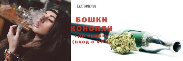 молекула духа Алексеевка